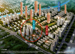 附属郑东高端源带